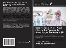 Couverture de Caracterización Del Agua Mineral En Fuentes De Serra Negra Do Norte - RN