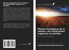 Copertina di Efectos fisiológicos de la zeolita y los fertilizantes orgánicos en Achillea