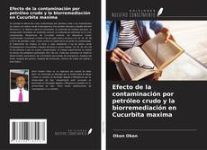 Copertina di Efecto de la contaminación por petróleo crudo y la biorremediación en Cucurbita maxima