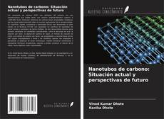 Copertina di Nanotubos de carbono: Situación actual y perspectivas de futuro