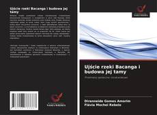 Capa do livro de Ujście rzeki Bacanga i budowa jej tamy 
