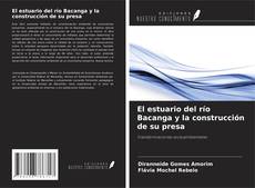 Couverture de El estuario del río Bacanga y la construcción de su presa