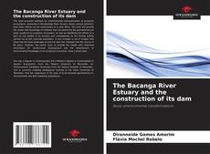 The Bacanga River Estuary and the construction of its dam的封面