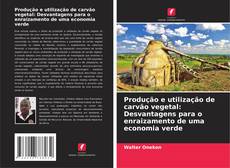 Produção e utilização de carvão vegetal: Desvantagens para o enraizamento de uma economia verde的封面