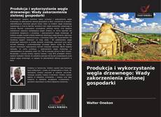 Produkcja i wykorzystanie węgla drzewnego: Wady zakorzenienia zielonej gospodarki的封面