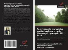 Postrzeganie warunków sanitarnych na wyspie Mamangal, Igarapé - Miri, Pará的封面