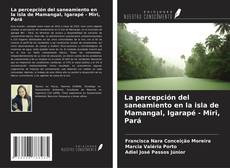 Couverture de La percepción del saneamiento en la isla de Mamangal, Igarapé - Miri, Pará