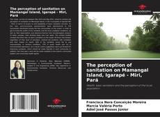 Buchcover von The perception of sanitation on Mamangal Island, Igarapé - Miri, Pará