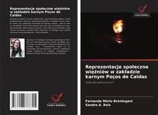 Reprezentacje społeczne więźniów w zakładzie karnym Poços de Caldas的封面