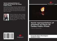 Buchcover von Social representations of prisoners at Poços de Caldas Public Prison