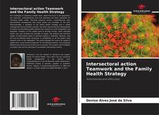 Copertina di Intersectoral action Teamwork and the Family Health Strategy