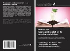Copertina di Educación medioambiental en la enseñanza básica