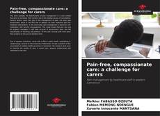 Bookcover of Pain-free, compassionate care: a challenge for carers