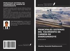 Copertina di PRINCIPALES SISTEMAS DEL YACIMIENTO DE CARBÓN DE SHARGUNSKOYE