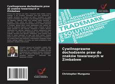 Buchcover von Cywilnoprawne dochodzenie praw do znaków towarowych w Zimbabwe