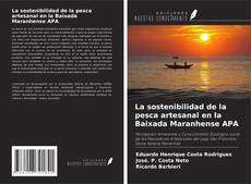 Couverture de La sostenibilidad de la pesca artesanal en la Baixada Maranhense APA