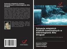 Обложка Sytuacja miejskich ścieków komunalnych w mikroregionie Alto Uruguai