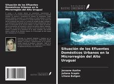 Copertina di Situación de los Efluentes Domésticos Urbanos en la Microrregión del Alto Uruguai