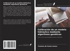 Copertina di Calibración de un modelo hidráulico mediante algoritmos genéticos