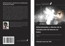 Copertina di Determinantes y efectos de la introducción de bancos en bolsa