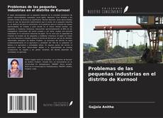 Copertina di Problemas de las pequeñas industrias en el distrito de Kurnool