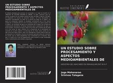 Copertina di UN ESTUDIO SOBRE PROCESAMIENTO Y ASPECTOS MEDIOAMBIENTALES DE
