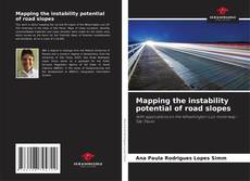 Buchcover von Mapping the instability potential of road slopes
