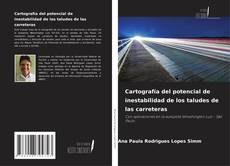 Copertina di Cartografía del potencial de inestabilidad de los taludes de las carreteras