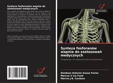 Buchcover von Synteza fosforanów wapnia do zastosowań medycznych