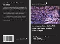Copertina di Aprovechamiento de las TIC para crear valor añadido y valor integral