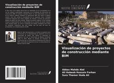 Copertina di Visualización de proyectos de construcción mediante BIM