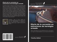 Copertina di Efecto de la corrosión en estructuras de hormigón armado