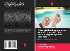 Copertina di Fotocatalisadores à base de Cu2ZnSnS4(CZTS) para a degradação de corantes