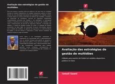 Capa do livro de Avaliação das estratégias de gestão de multidões 
