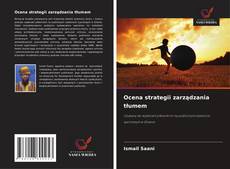 Ocena strategii zarządzania tłumem的封面