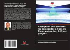 Обложка Absorption de l'eau dans les composites à base de fibres naturelles: Défis et progrès
