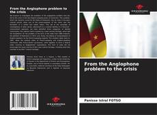 From the Anglophone problem to the crisis的封面