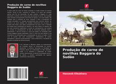 Produção de carne de novilhas Baggara do Sudão的封面