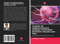 Copertina di O galato de epigalocatequina protege a toxicidade testicular induzida pelo flúor