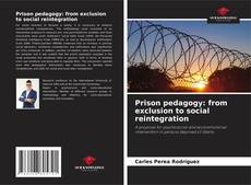 Bookcover of Prison pedagogy: from exclusion to social reintegration