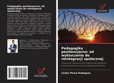 Copertina di Pedagogika penitencjarna: od wykluczenia do reintegracji społecznej