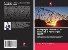 Pedagogia prisional: da exclusão à reinserção social的封面