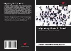 Bookcover of Migratory flows in Brazil