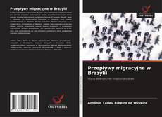 Обложка Przepływy migracyjne w Brazylii