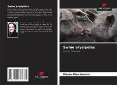 Bookcover of Swine erysipelas