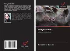 Обложка Różyca świń