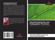 Bookcover of Interdisciplinarity and Pedagogical Practices