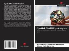 Spatial Flexibility Analysis的封面
