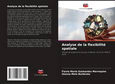 Analyse de la flexibilité spatiale的封面