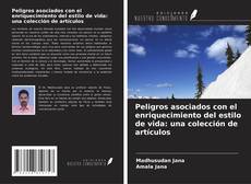 Copertina di Peligros asociados con el enriquecimiento del estilo de vida: una colección de artículos